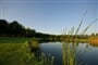 Old Lake Golf Club