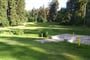 golf marianske lazne 7