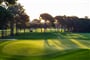 Montgomerie Maxx Royal golf (7)