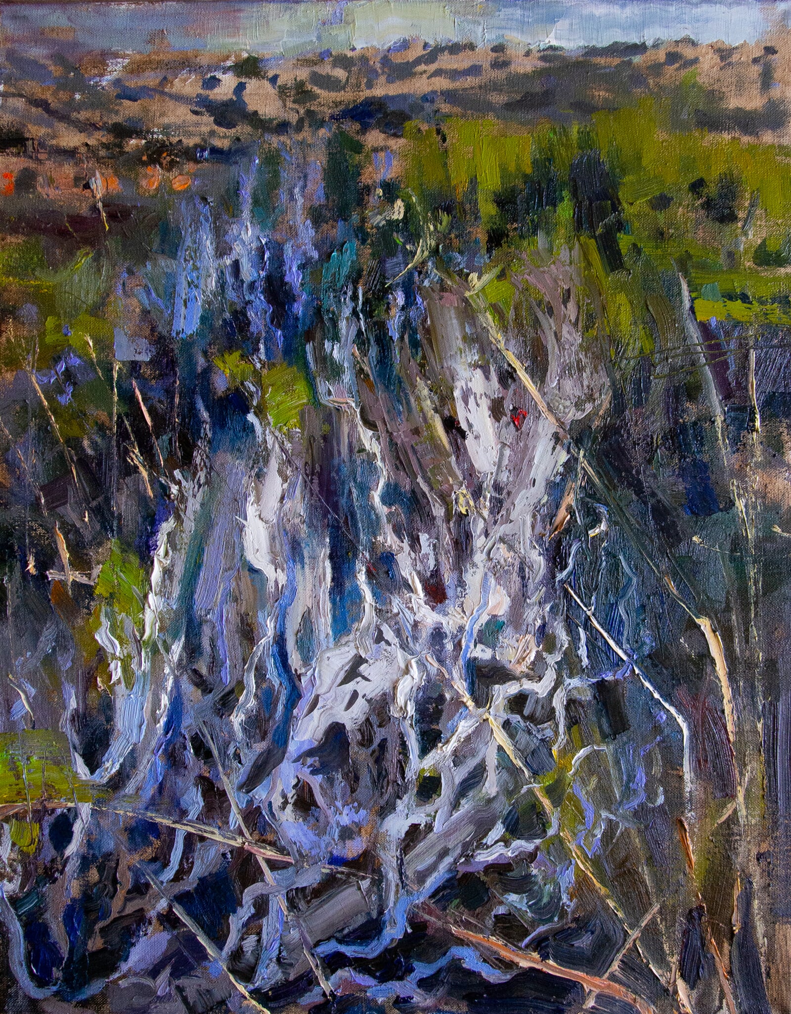 Adéla Topolová: Bílé korály, 70 × 55 cm