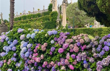 Baveno - Švýcarští velikáni a nejkrásnější zahrady u Lago Maggiore