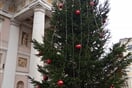 Terst advent