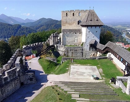 Celje 1