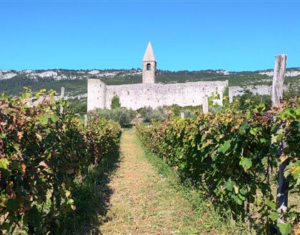 Hrastovlje 2