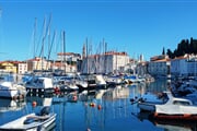 Piran 7