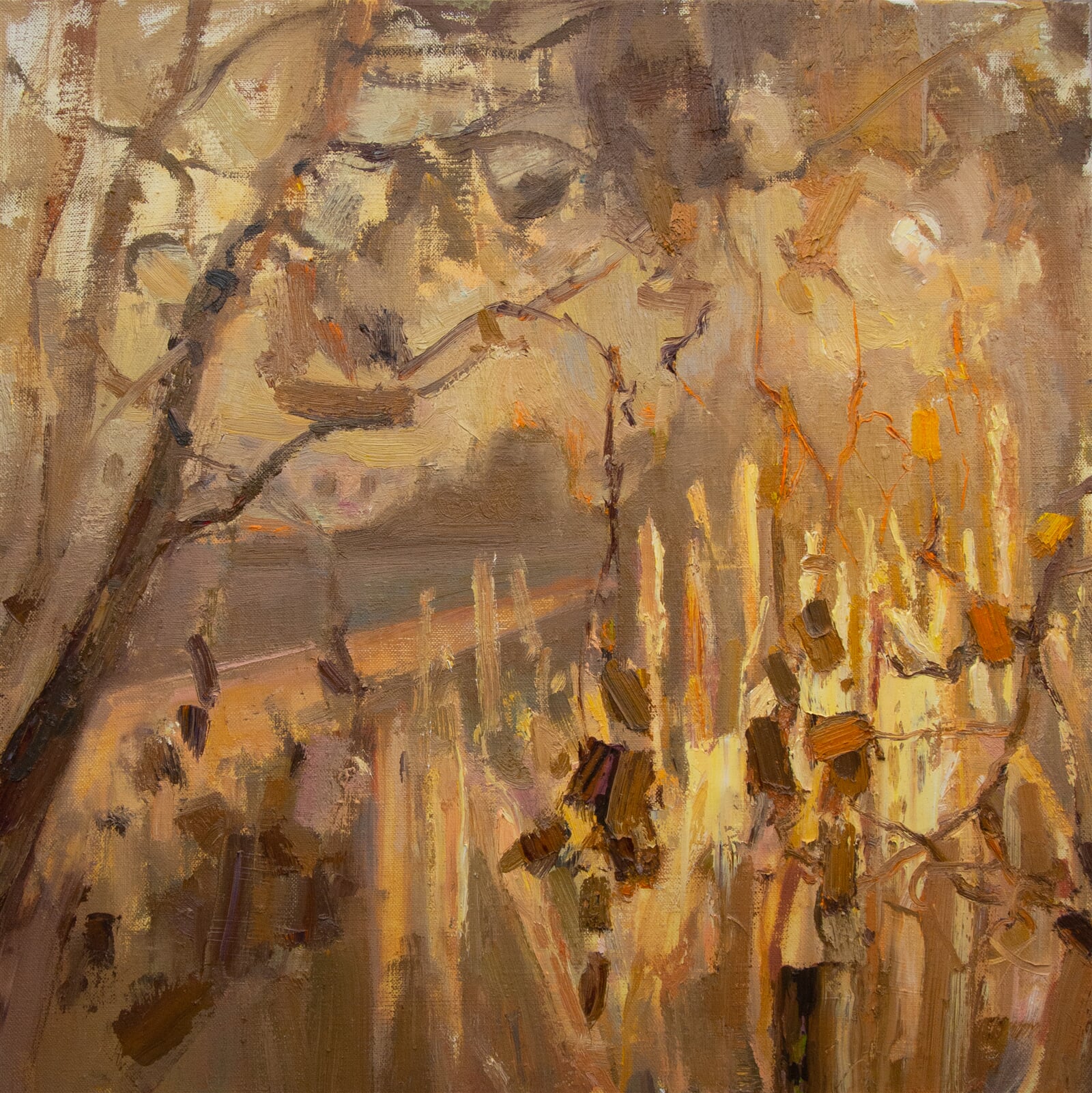 Adéla Topolová: Jeden okamžik slunce, 55 × 55 cm