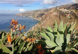 Canico de Baixo - Rozkvetlá Madeira - perla oceánu