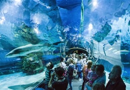 Okouzlující podmořský svět Tropikárium s prohlídkou města Budapešť