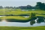 Golf Castelconturbia 8