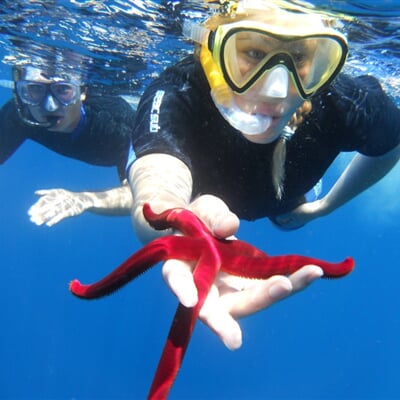 427090 480337631978143 1715461411 n