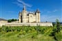Loira-zamek ve vevicei-20230531_115852