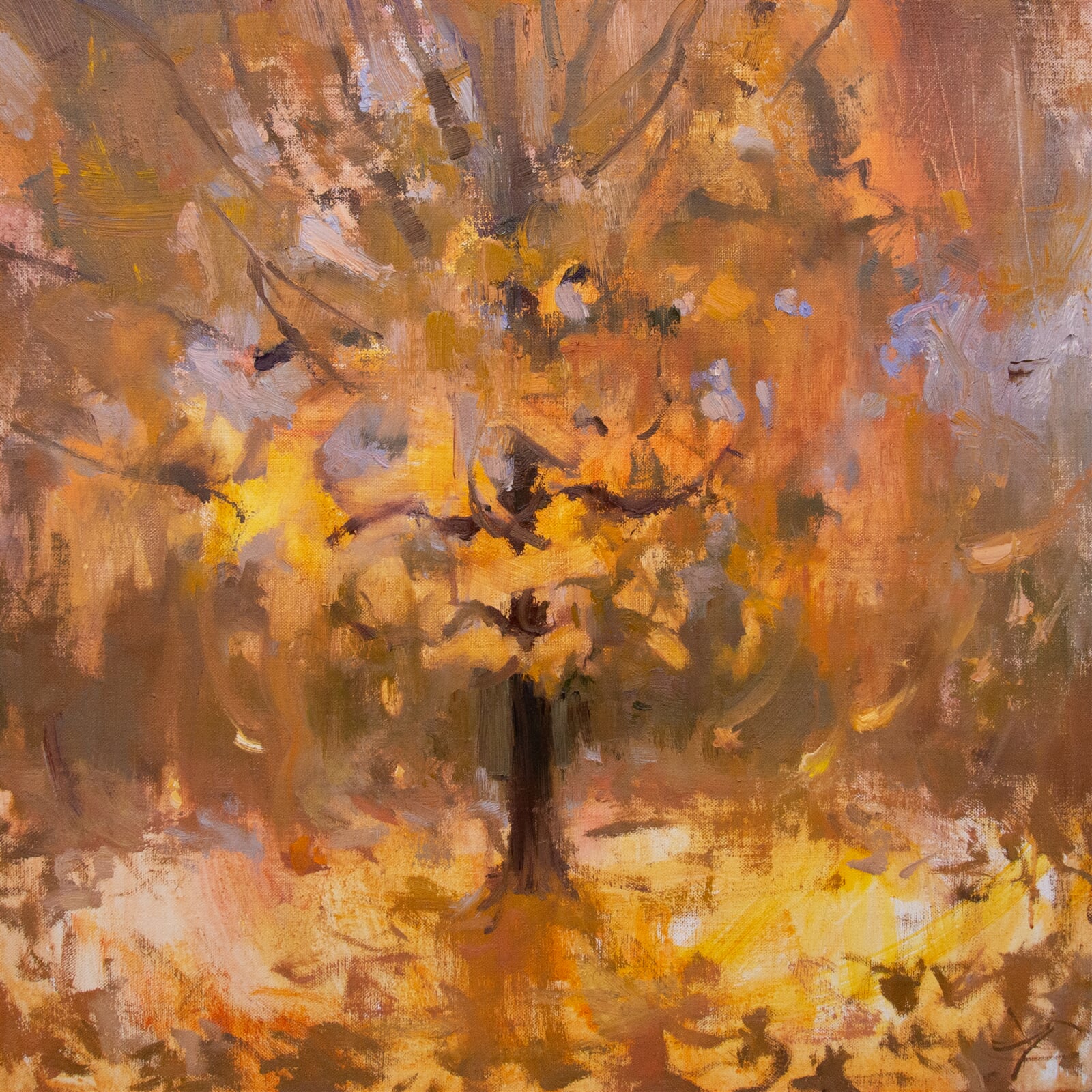 Adéla Topolová: Žlutý kobereček, 60 × 60 cm