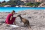 Australie - Kangaroo island