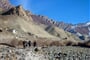 Ladakh - hoská vesnice Rumbak