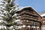 hotel Alle Alpi Alleghe (4)
