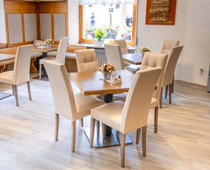 hotel Alle Alpi Alleghe (7)