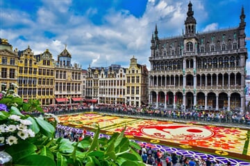Brusel - Belgie: Květinový koberec na náměstí