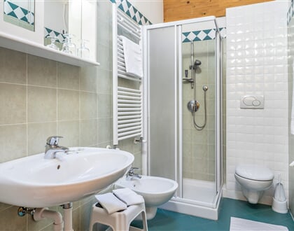 Hotel Monclassico, Dimaro (10)