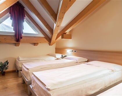 Hotel Monclassico, Dimaro (7)