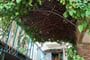 hotel Park Taormina (3)