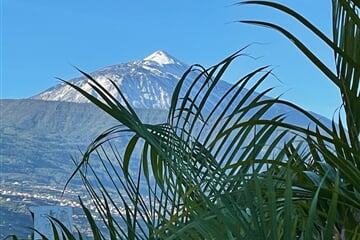 Puerto de la Cruz - Sopečné TENERIFE, perla Kanárských ostrovů