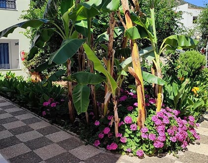 Dorian-Apts-Bali-4