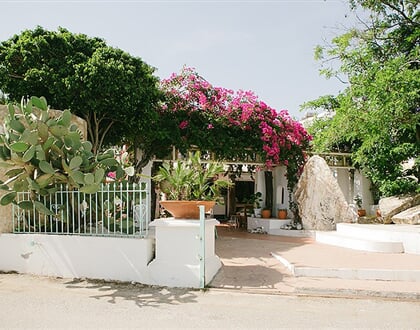 Gorgona-Studios-2023-10