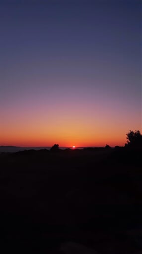 original a1ba879d 57d7 4094 bea5 de90cf8c6d9d 20230906 192813