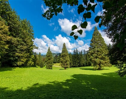 rimske terme okolica2 1 043