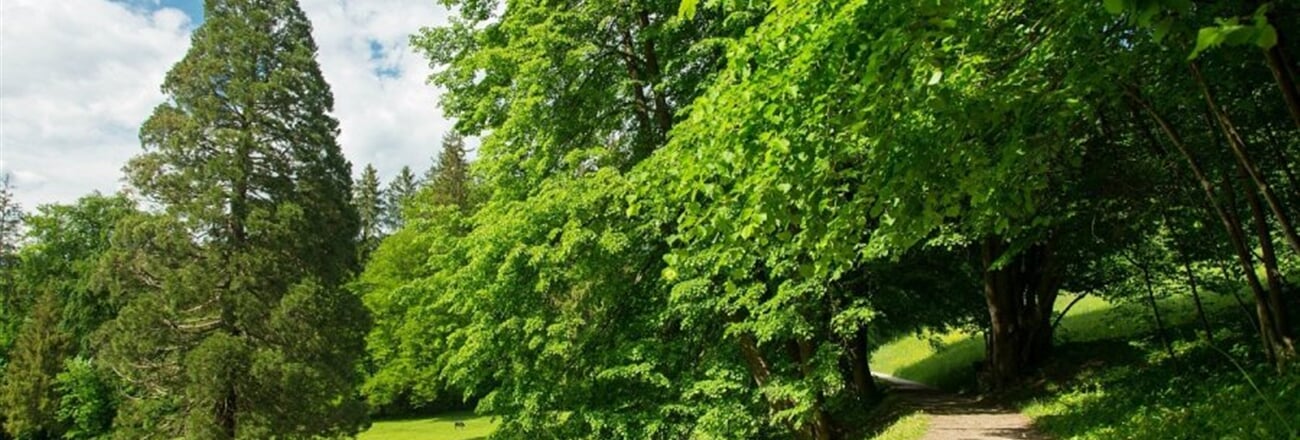 rimske terme okolica4 1 046