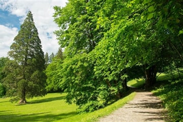 rimske terme okolica4 1 046