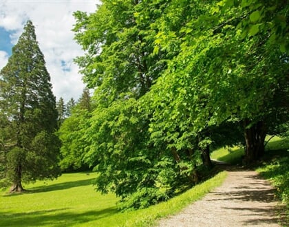 rimske terme okolica4 1 046
