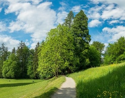rimske terme okolica5 1 047