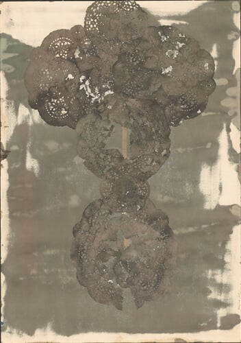 K 443