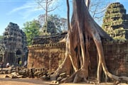 Angkor4