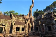 Angkor5