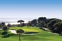 precise el rompido golf