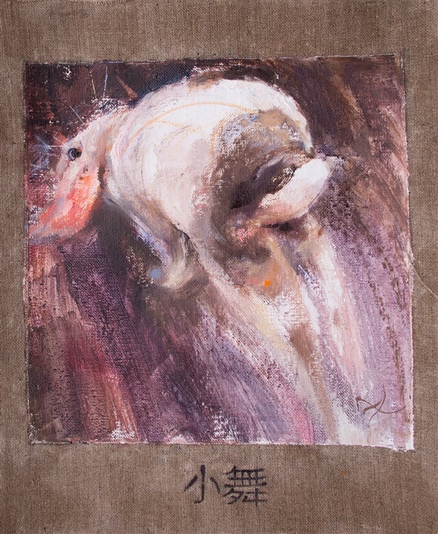 小舞