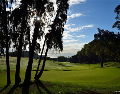 Palheiro golf 10