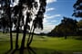Palheiro golf 10