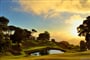 Palheiro golf 11
