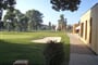 cinda golf