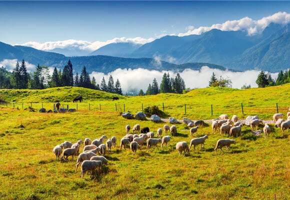 Pohodový týden v Alpách - Slovinsko - NP Triglav a Slovinské moře