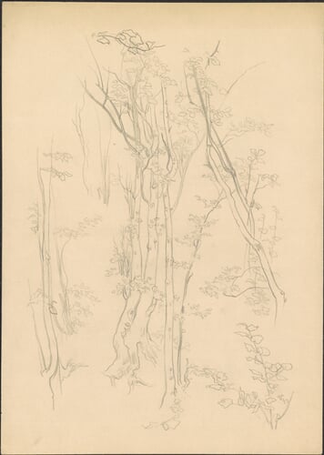 K 356