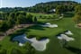 el bosque club de golf 2