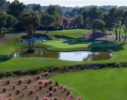 el bosque club de golf 