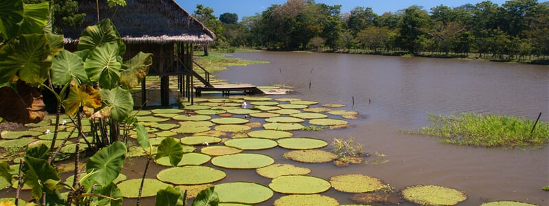 Amazonie v Kolumbii