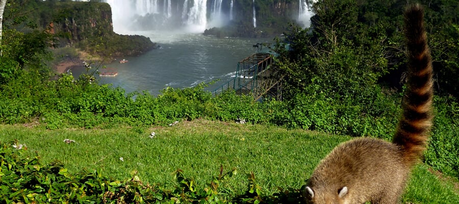 rio iguazu buenos 14