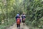 Procházka bambusovým pralesem
