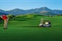 the crete golf club green 1